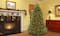 7.5 ft. Pre-Lit Dunhill® Fir Full Artificial Christmas Tree, Dual Color® LED Lights